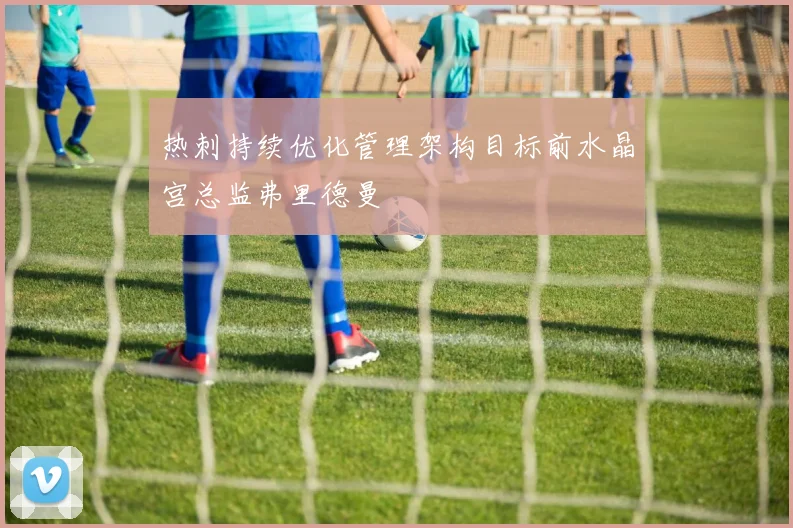 热刺持续优化管理架构目标前水晶宫总监弗里德曼