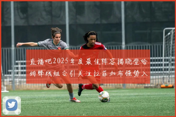 直播吧2025年度最佳阵容揭晓登哈姆锋线组合引关注拉菲加布强势入选